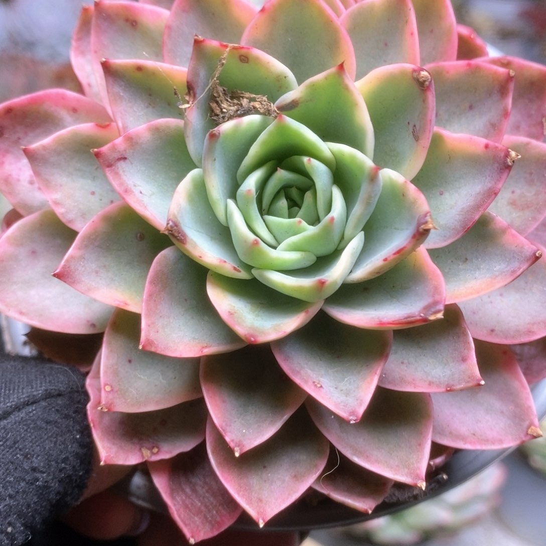 766哈哈哈哈哈哈哈哈