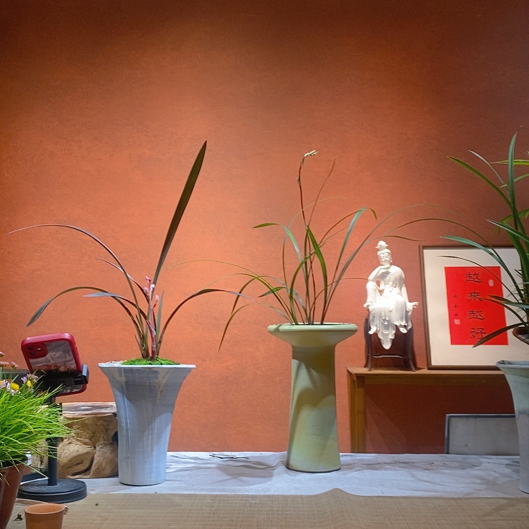 小***儿无花朵老桩精品竹盆景作品