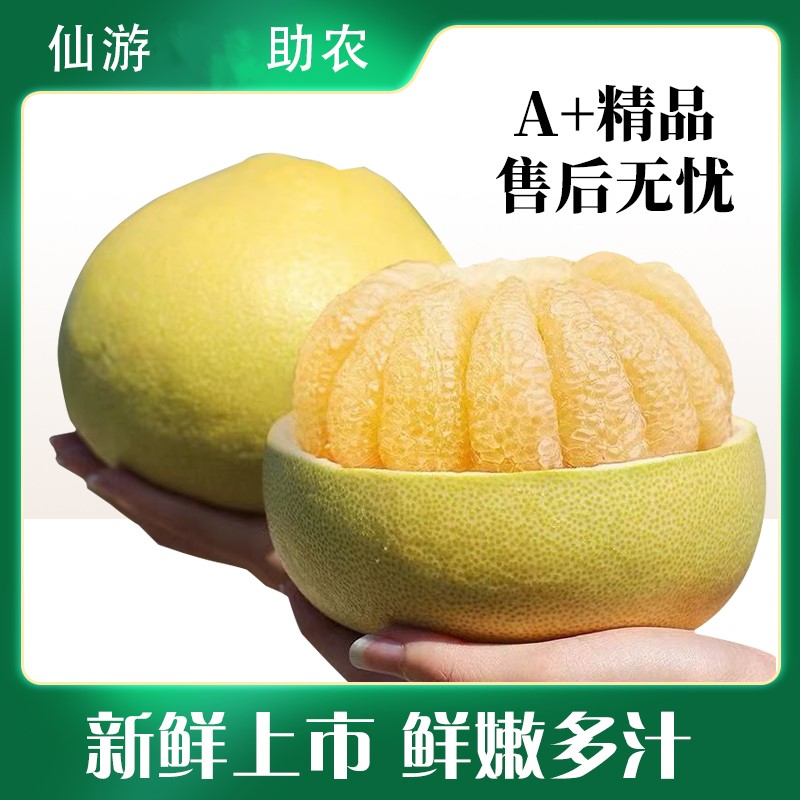 福建仙游度尾文旦柚正宗老树当季新鲜现摘孕妇水果N
