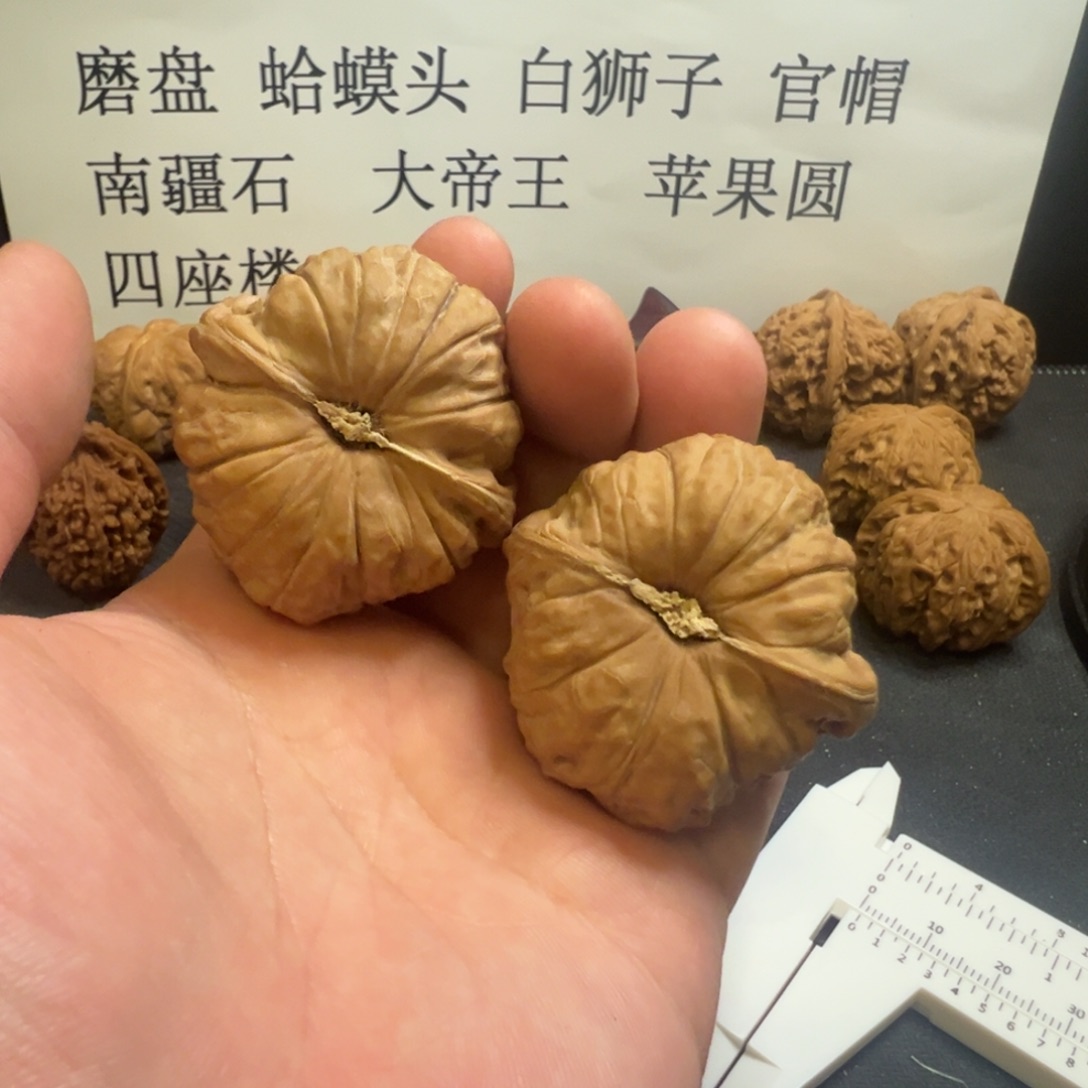 核桃头货45全品南瓜墩