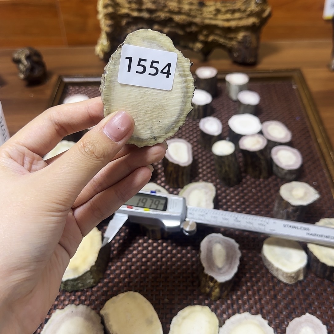 手串/手链鹿骨1554 片