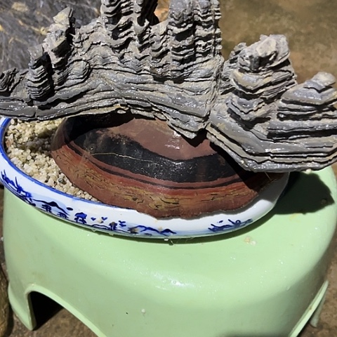 点**烟家居装修效果图