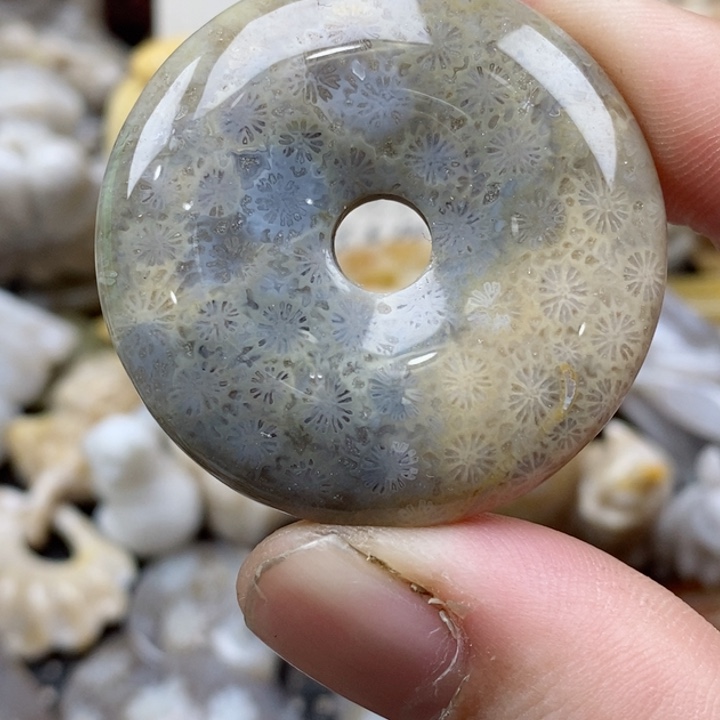 颈饰未镶嵌硅化珊瑚（珊瑚玉）