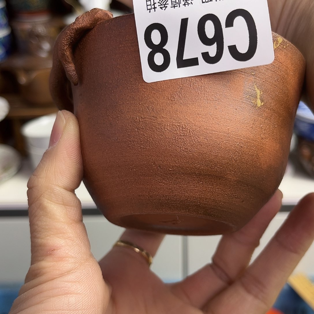 瓷片F****～Lgxkcgclgclvkgclhc