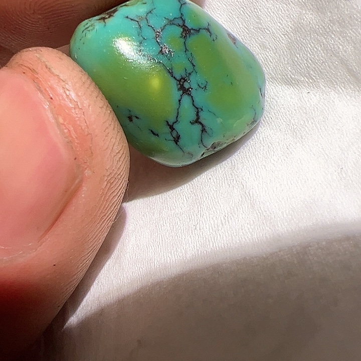 香榧木在家了一个