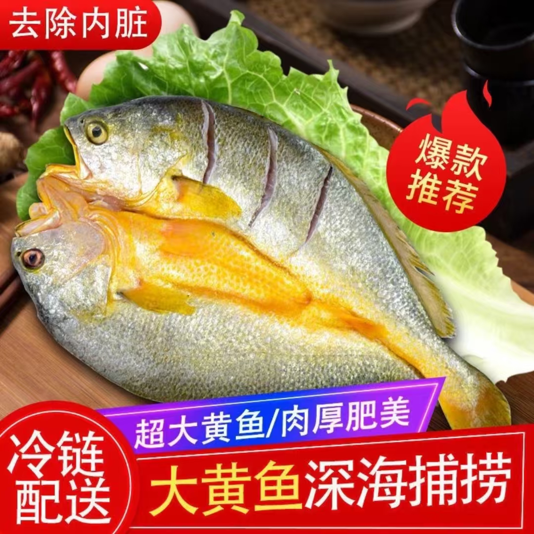 大黄花鱼新鲜海捕鲜活冷冻小黄鱼250g/条深海黄鱼鲞野生三去开背黄鱼免处理烧烤夜宵海鲜