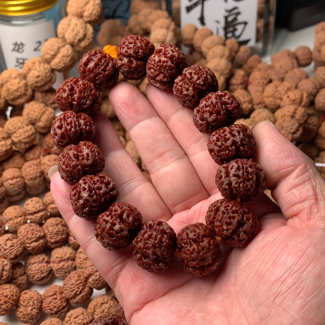 金刚菩提手串k**.22龙牙头货