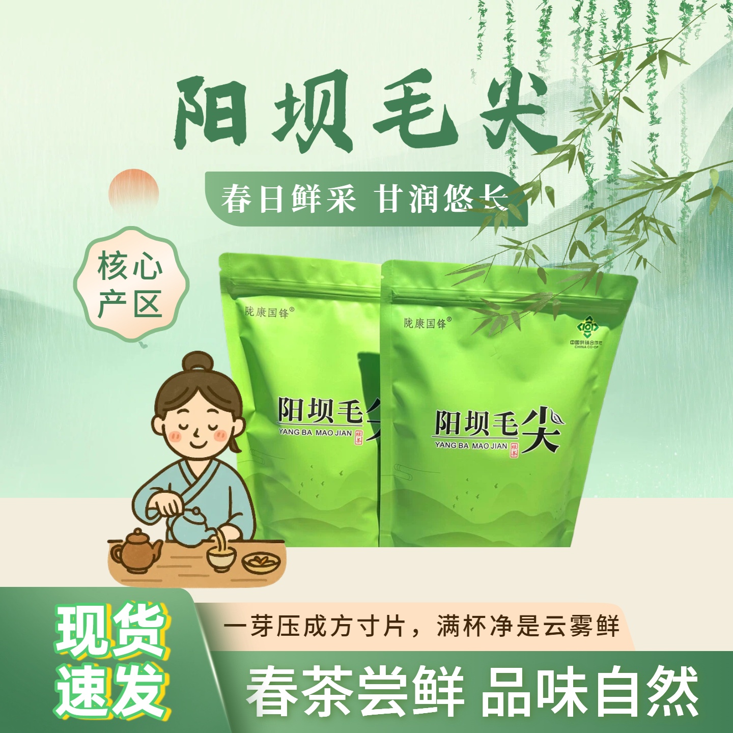 新店福利甘肃陇南毛尖高山云雾毛尖绿茶特级绿茶正宗阳坝毛尖盒装口粮茶性价比