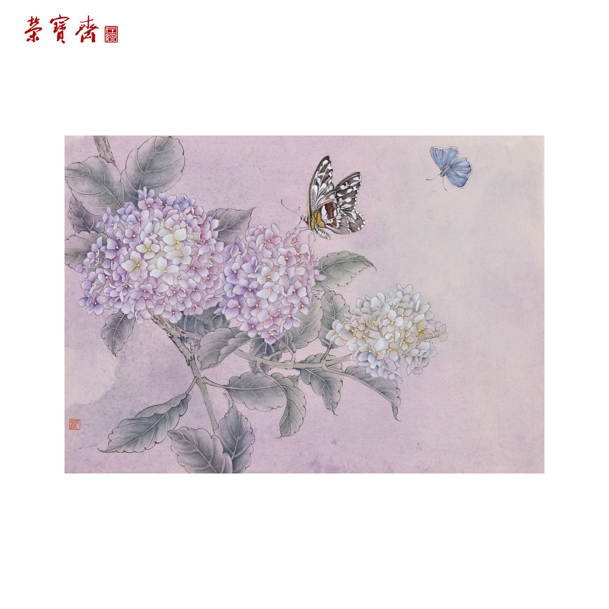 早26（g95140）《紫阳双蝶》书画 卡纸 45*32cm