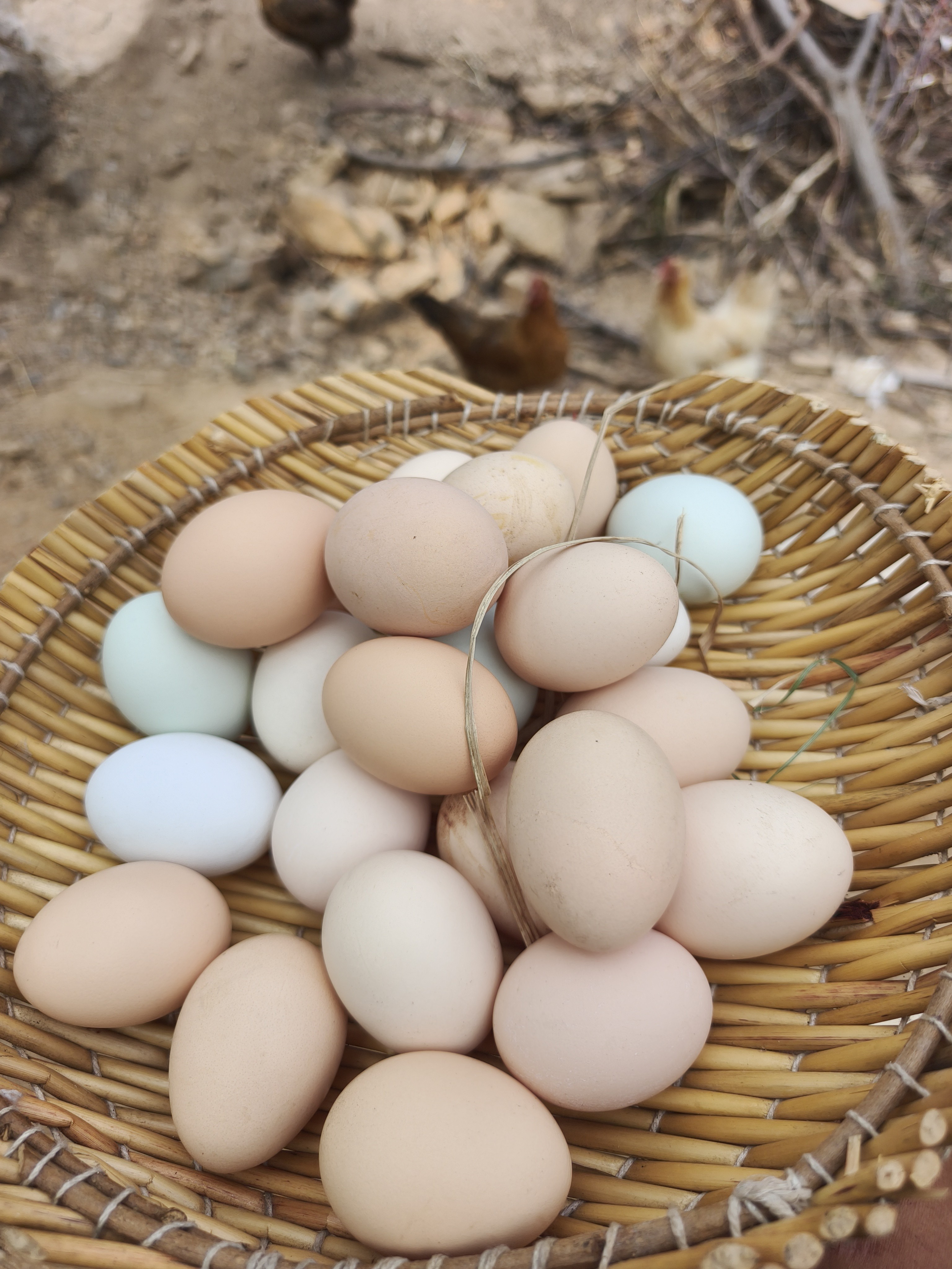 农家散养新鲜土鸡蛋山林纯五谷喂养健康营养儿童辅食孕妇放心用