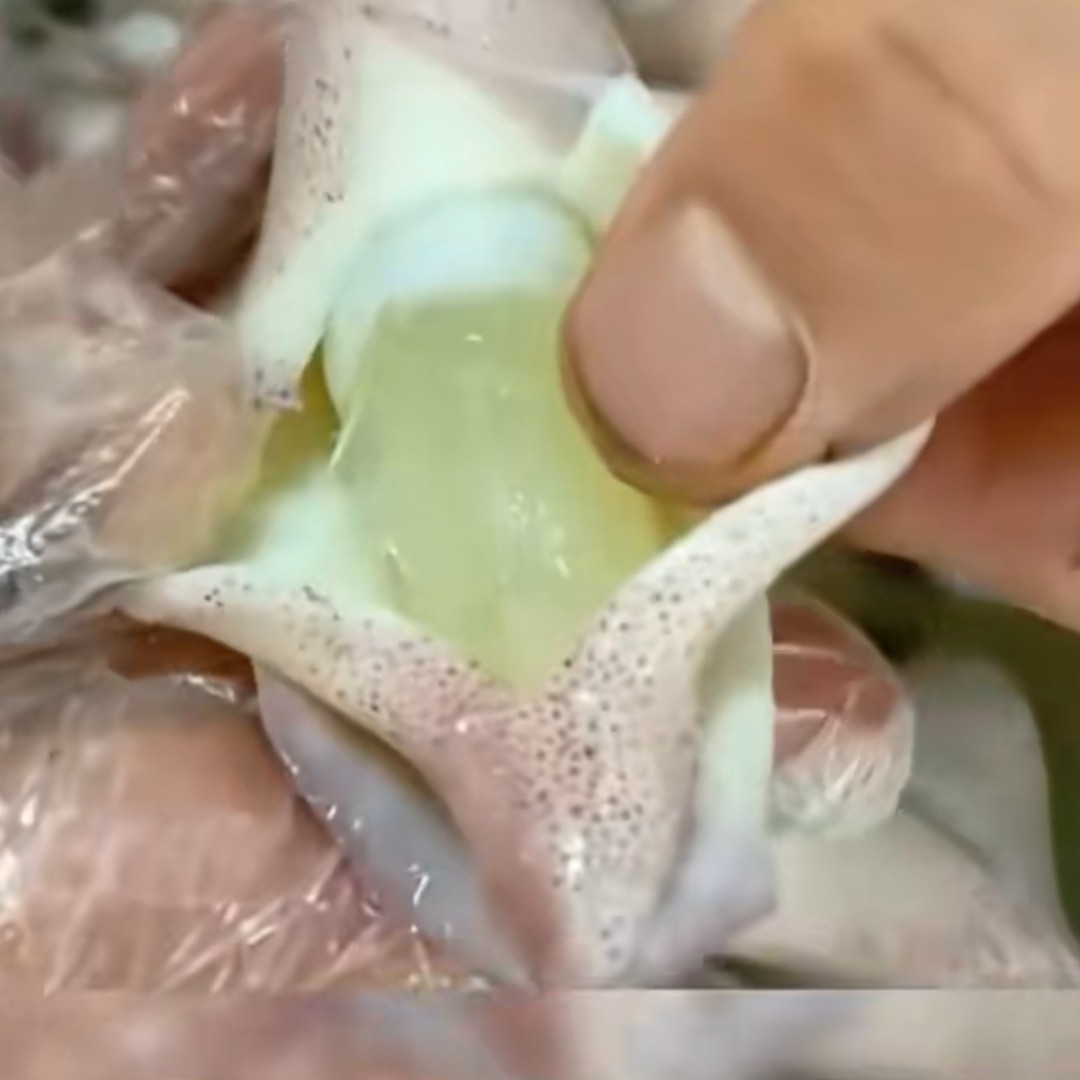 【个个带籽】带膏带籽笔管小海兔2斤20-25只速冻真空顺丰发货