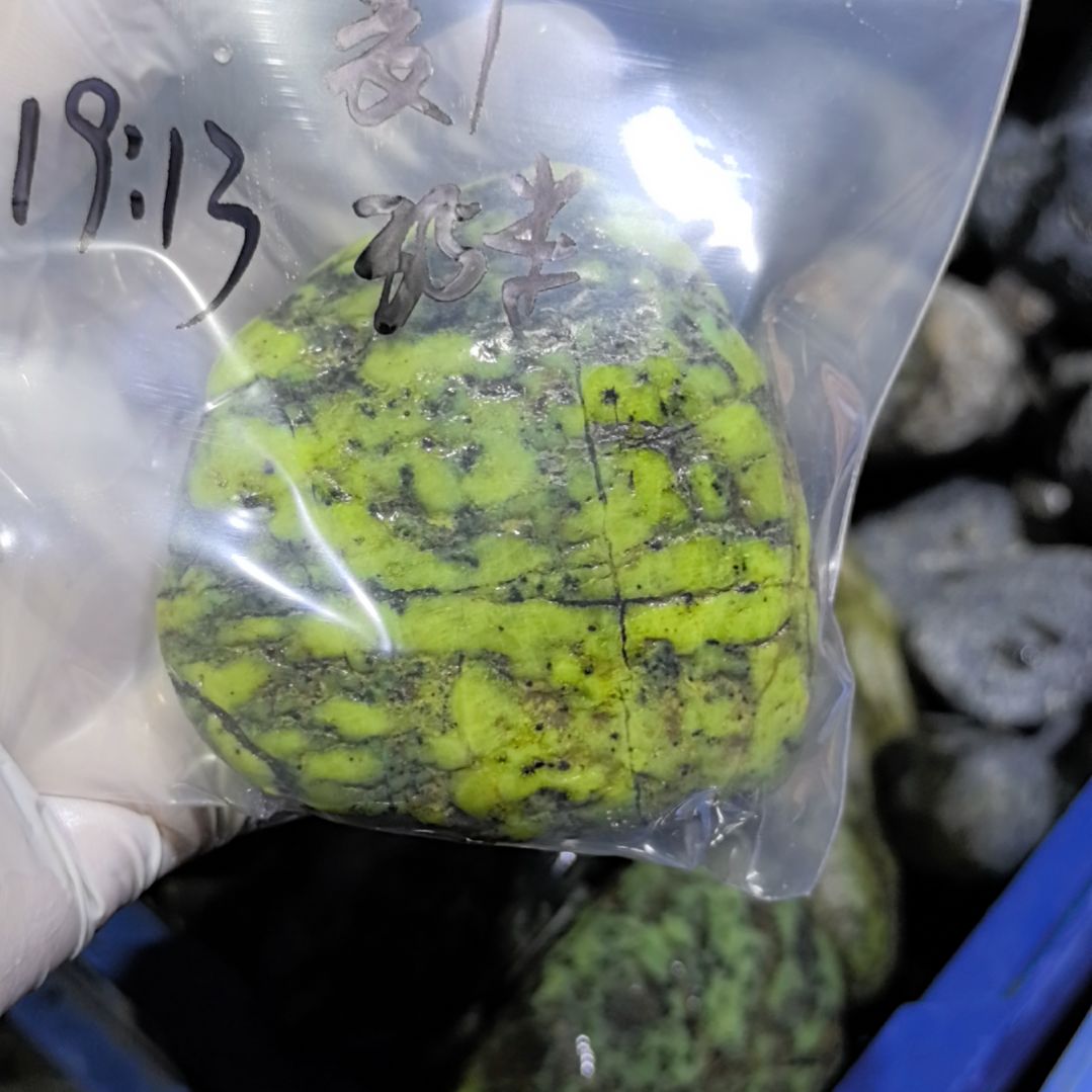 麦***1藏玉药王石原石一个