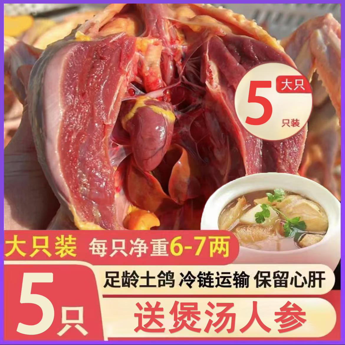【5只老土鸽】新鲜现杀土鸽子 炖肉煲汤300g/只*5送一根人参