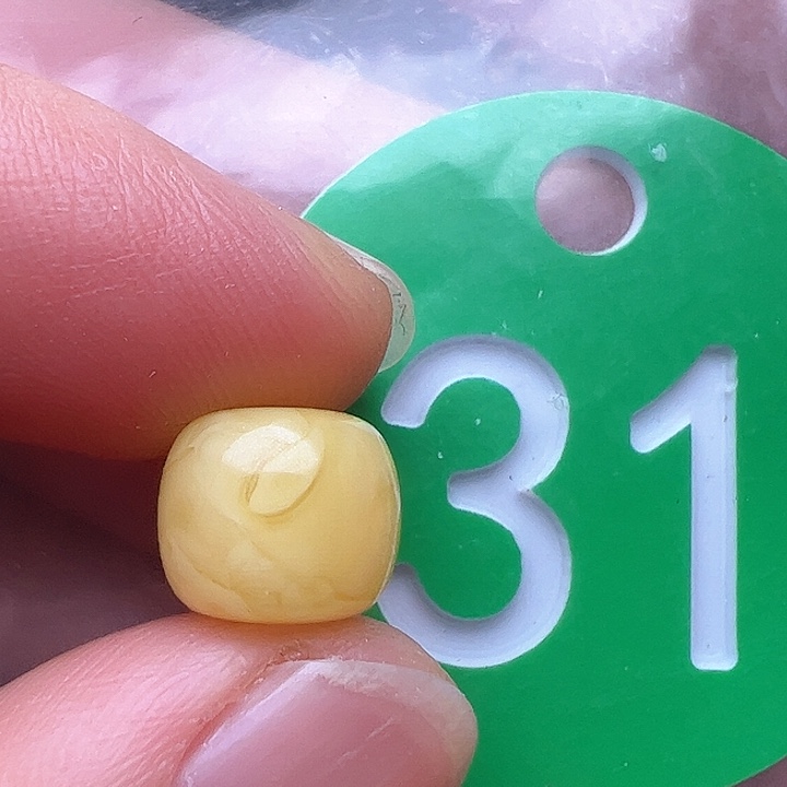 蜜蜡裸石未镶嵌9.5m m