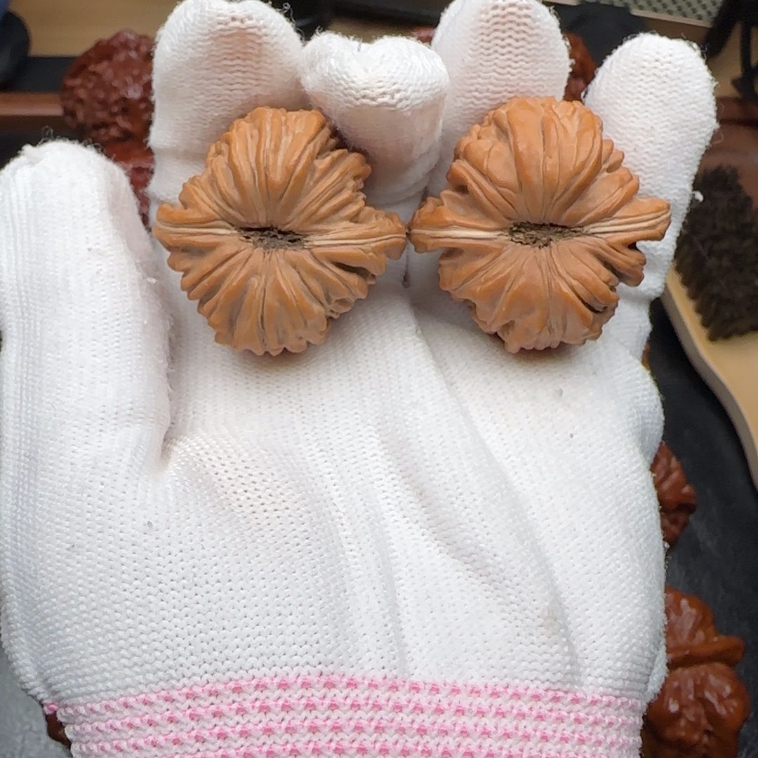 小冉核桃全品四座楼34