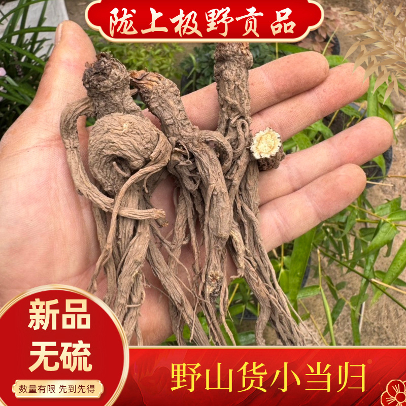 甘肃高海拔野山货当归，个头小味道大，煲汤炖肉相当好250克包邮