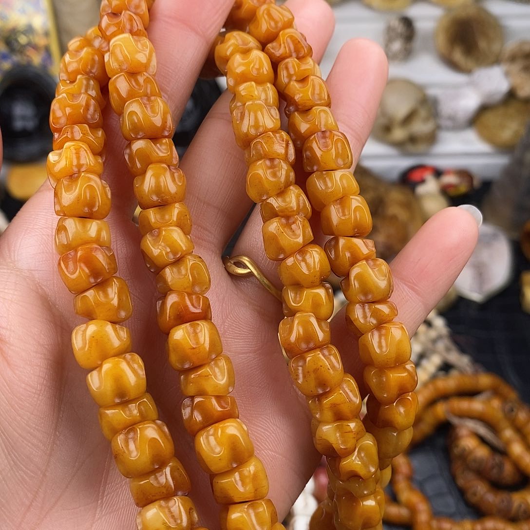 其他驼骨骆驼骨大肠10/108