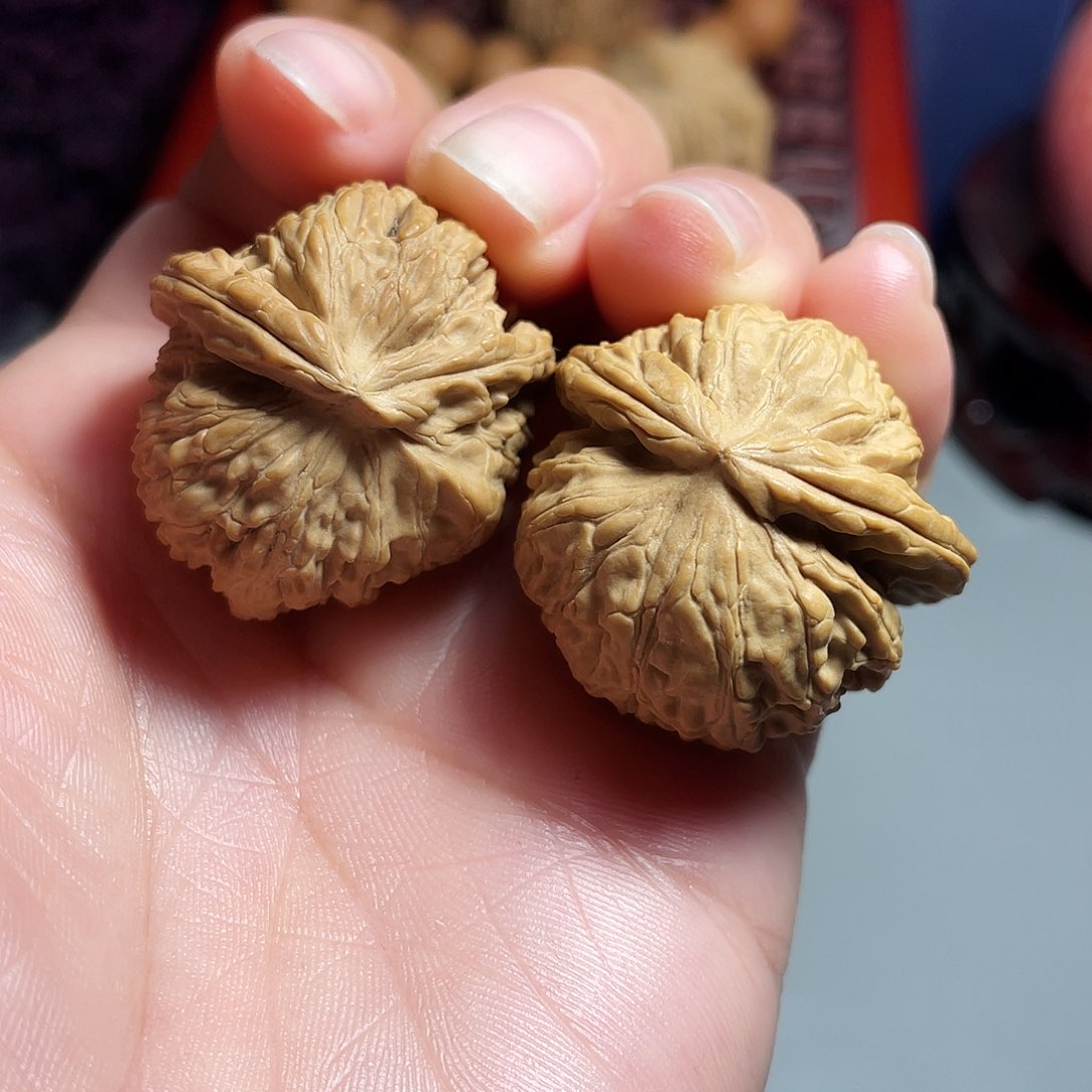 核桃手串/手链精品白狮子角