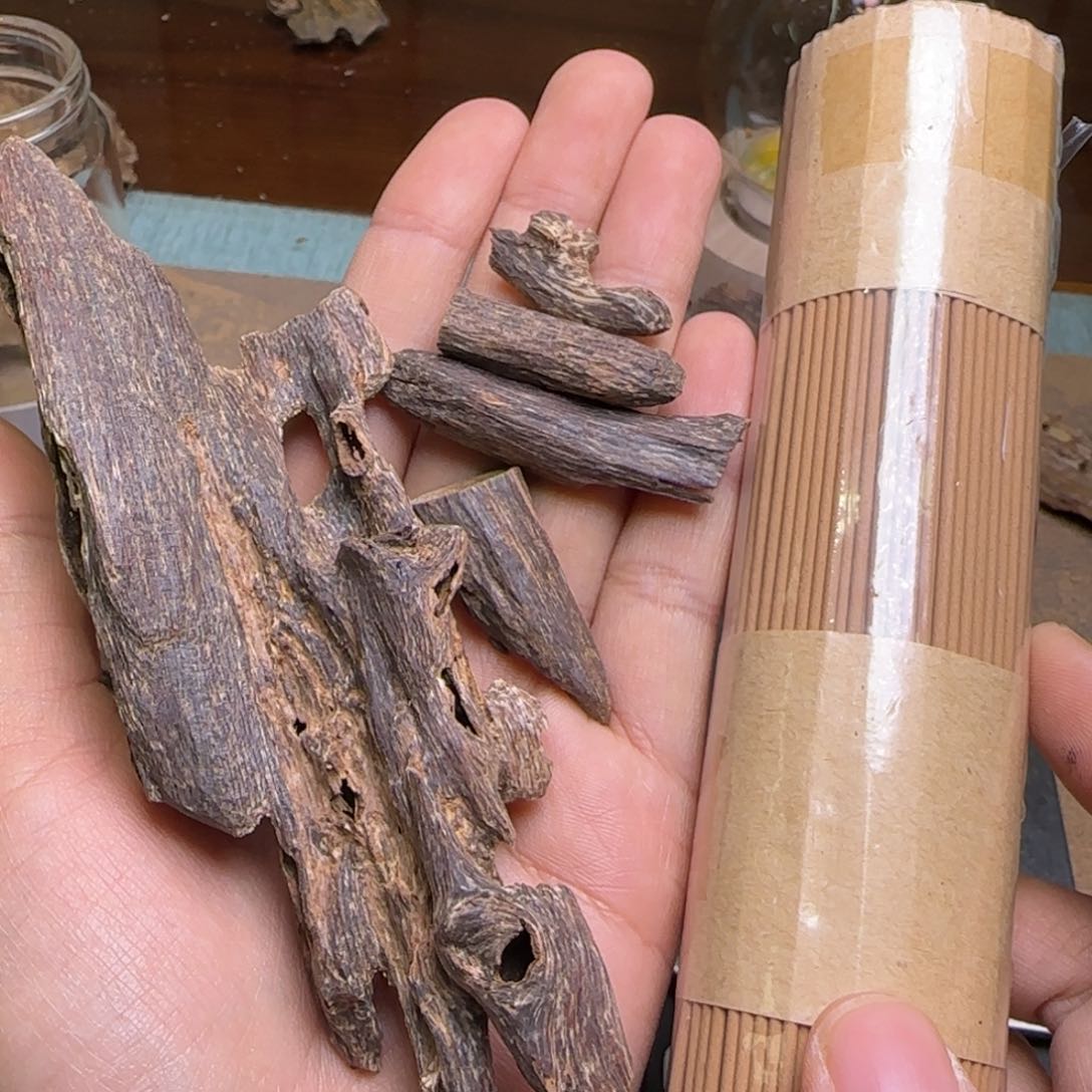海南尖峰岭老虫漏料11克重