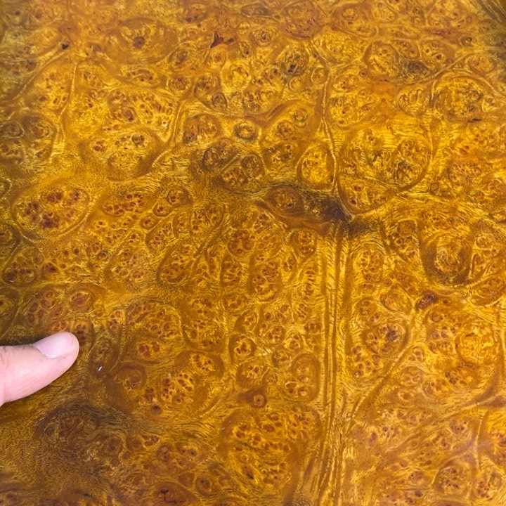 木黄金樟留疤独板超大托盘