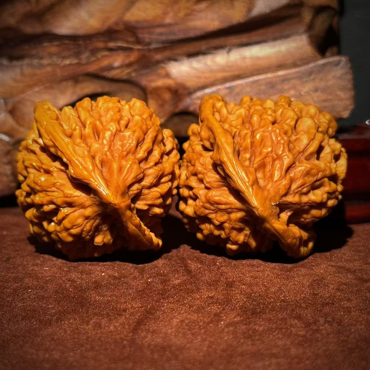 打底大尺寸官帽核桃——434