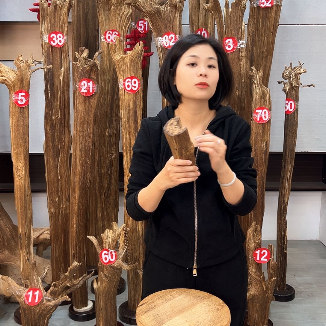 沉香摆件海南沉香摆件