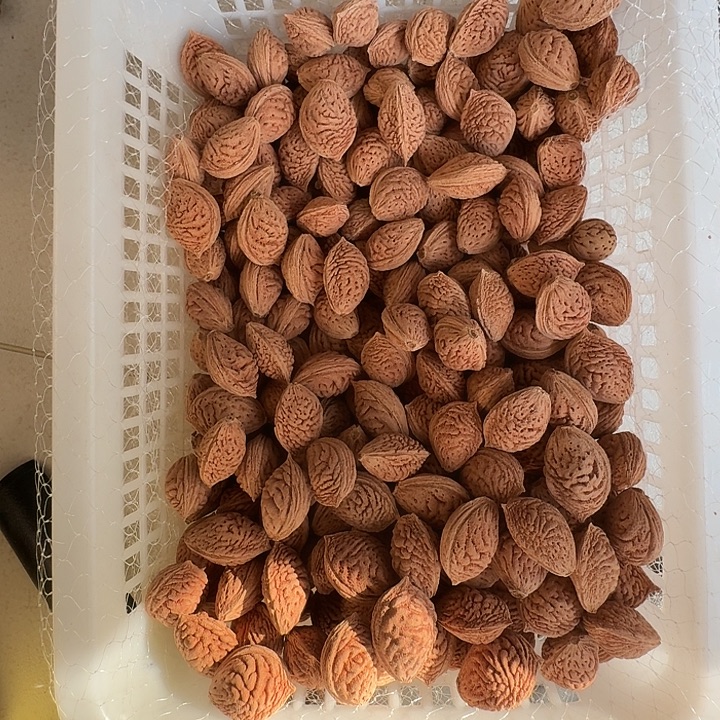 王***东核桃手串/手链桃核