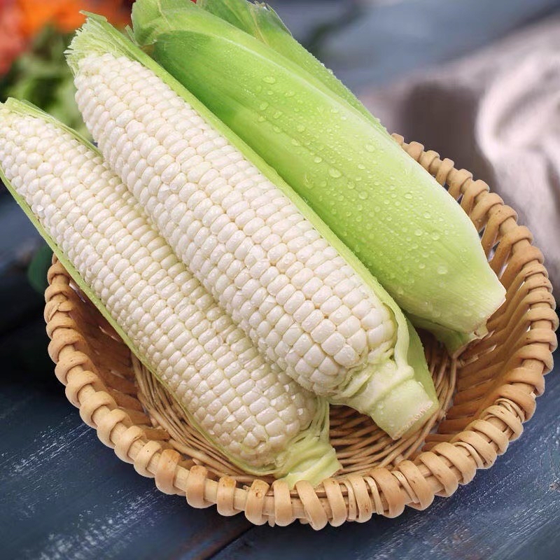海南玉米 精选鲜玉米 早餐&榨汁皆可G水果玉米海南省三亚市