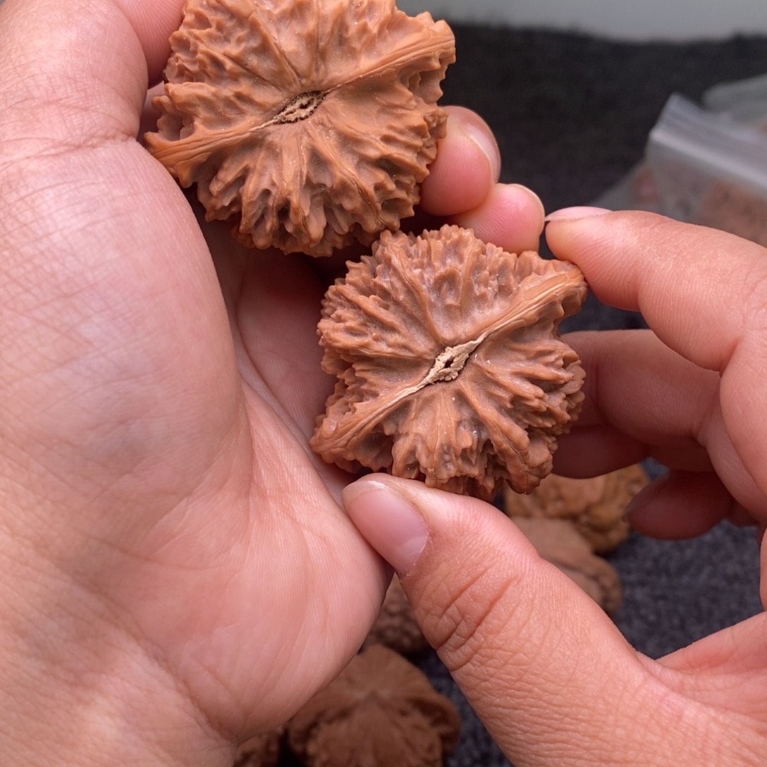 文玩核桃把件47满天星