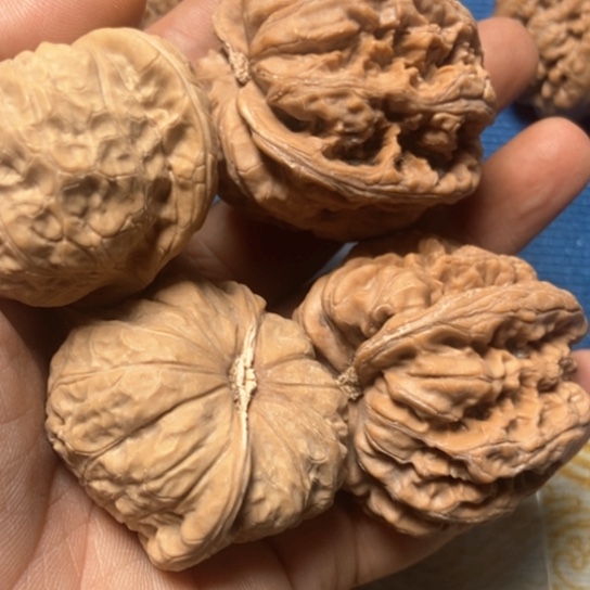 文玩核桃吊坠小*南瓜，粗筋，狮子头