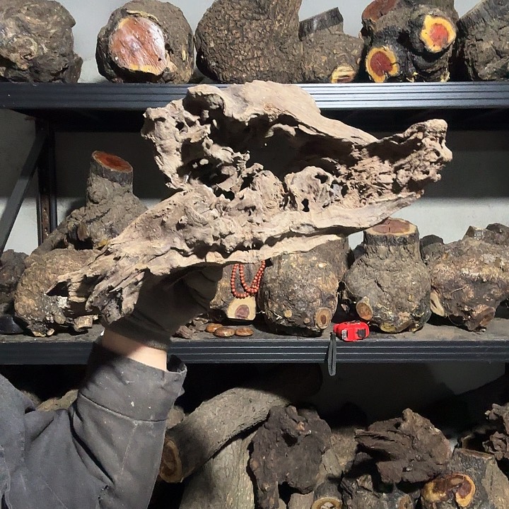 孤***独香榧木火琉璃的故事是一个人的