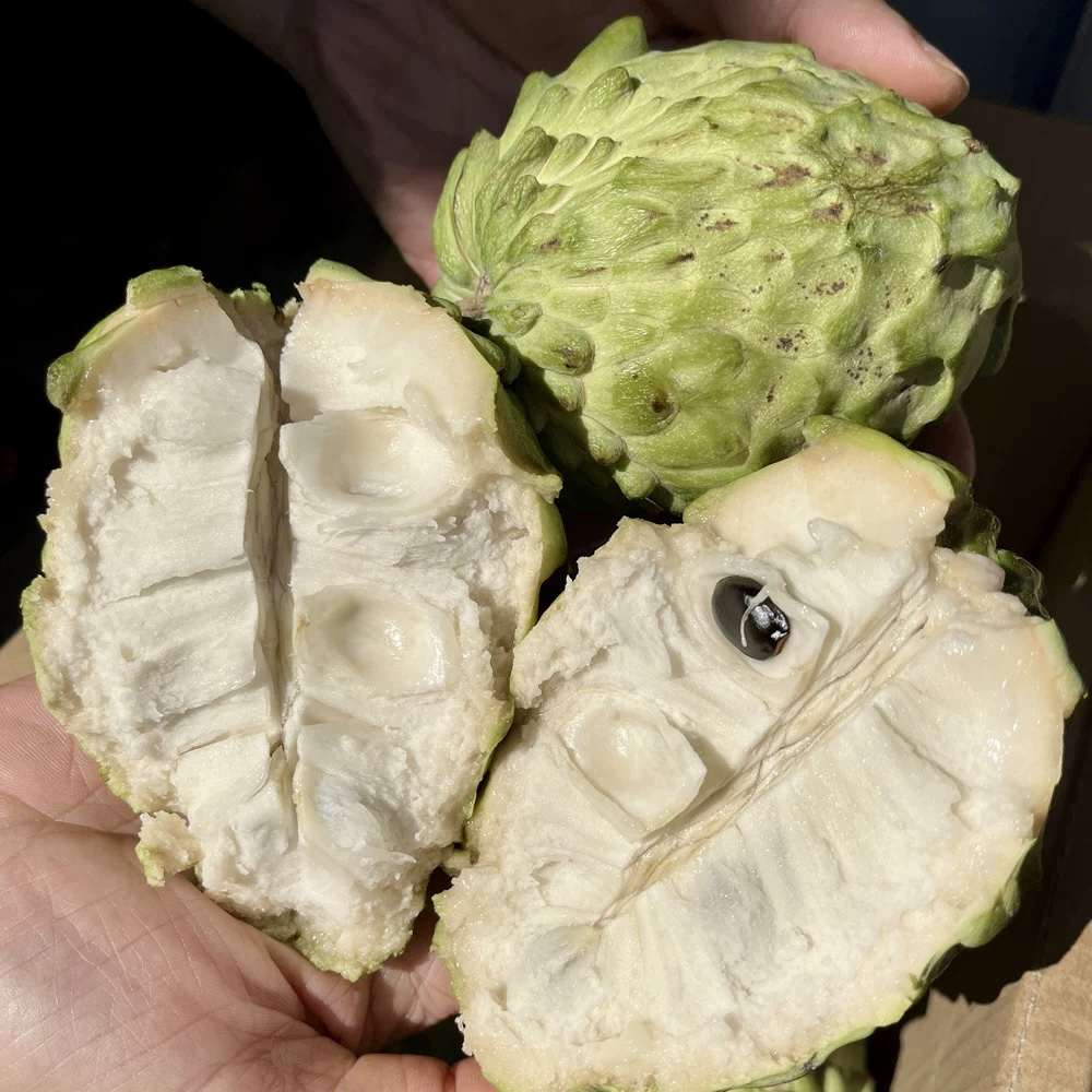 【顺丰快递】云南牛奶凤梨释迦果老树果佛头果冰激凌口感软糯香甜