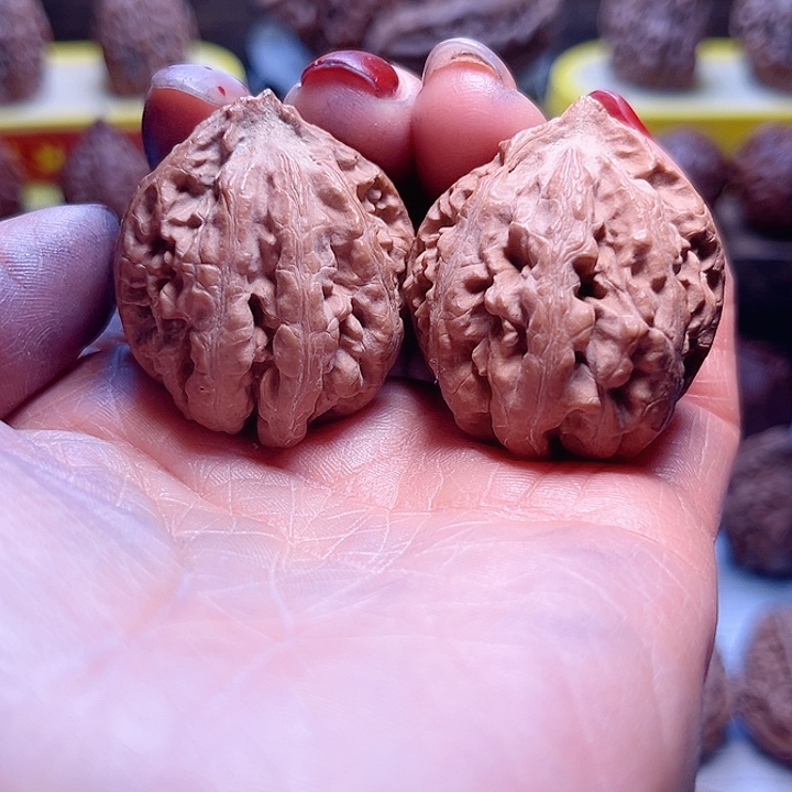 核桃44车放漏漏漏