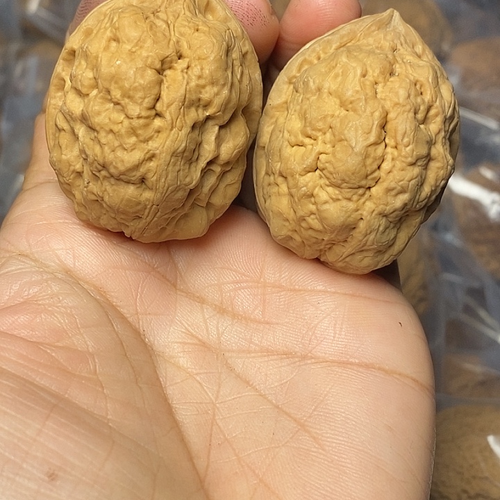 文玩核桃把件云南铁核桃76