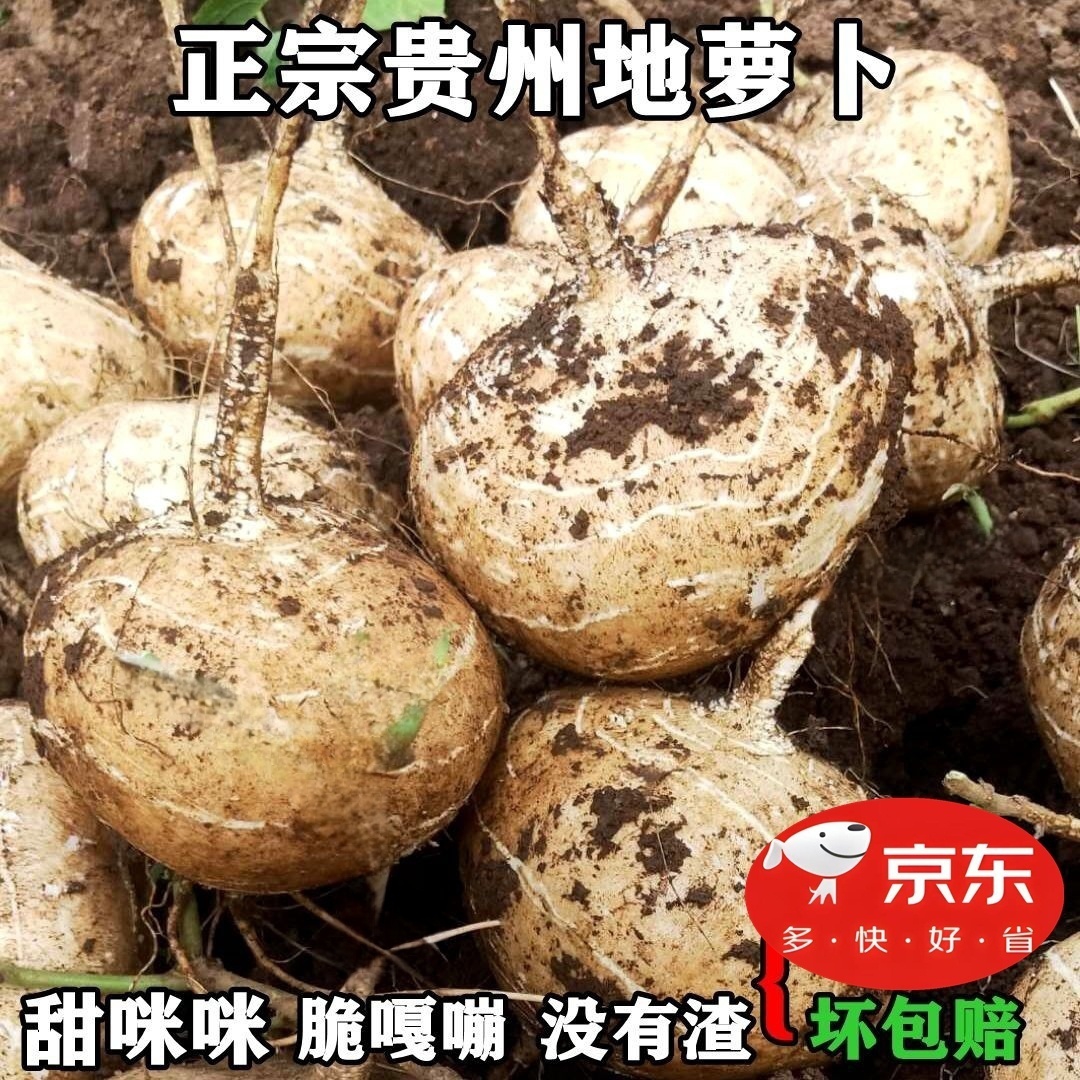 京东包邮贵州农村特产水果生吃水果贵州地萝卜凉薯土瓜地瓜白地瓜
