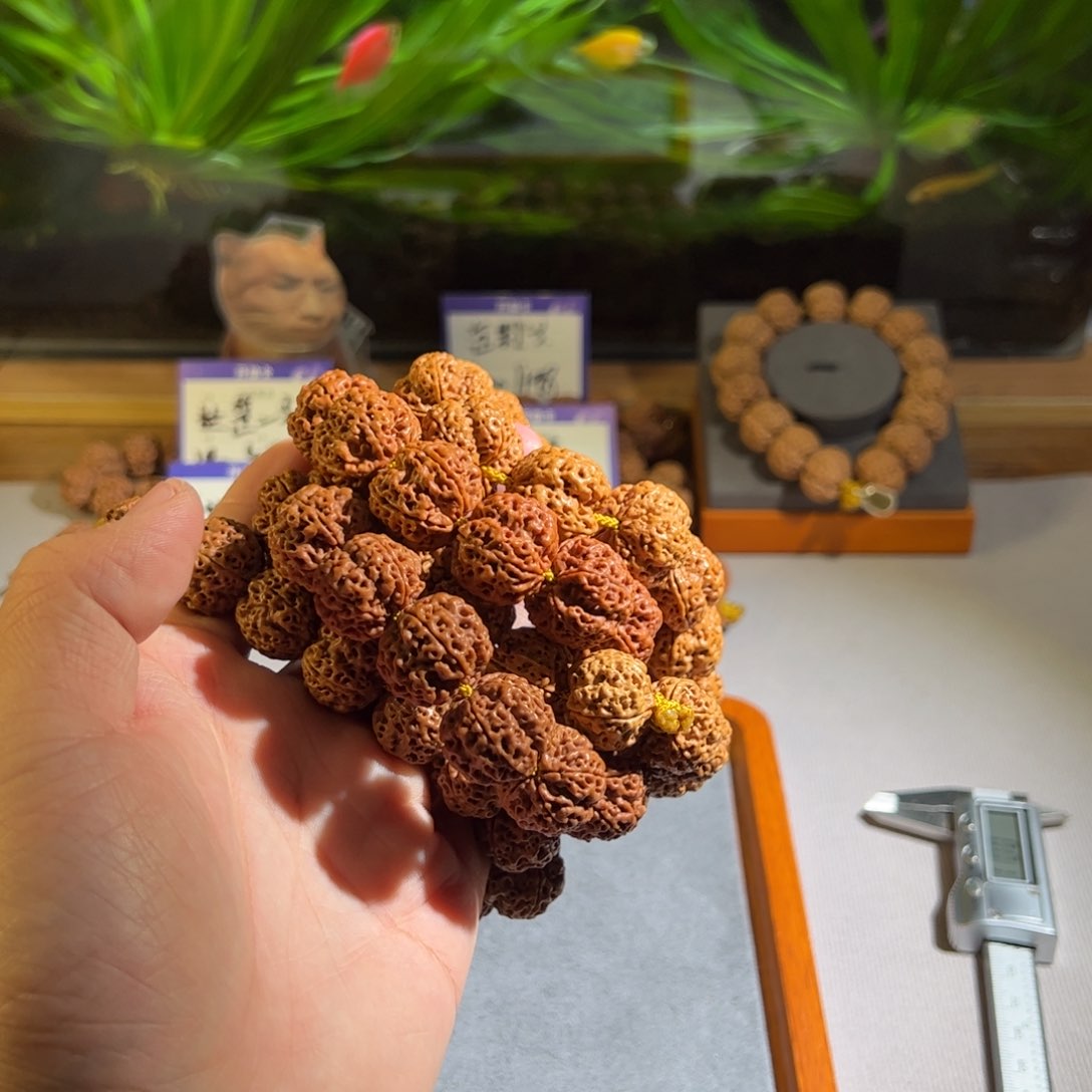 金刚菩提手串蜂王福利尺寸随机发