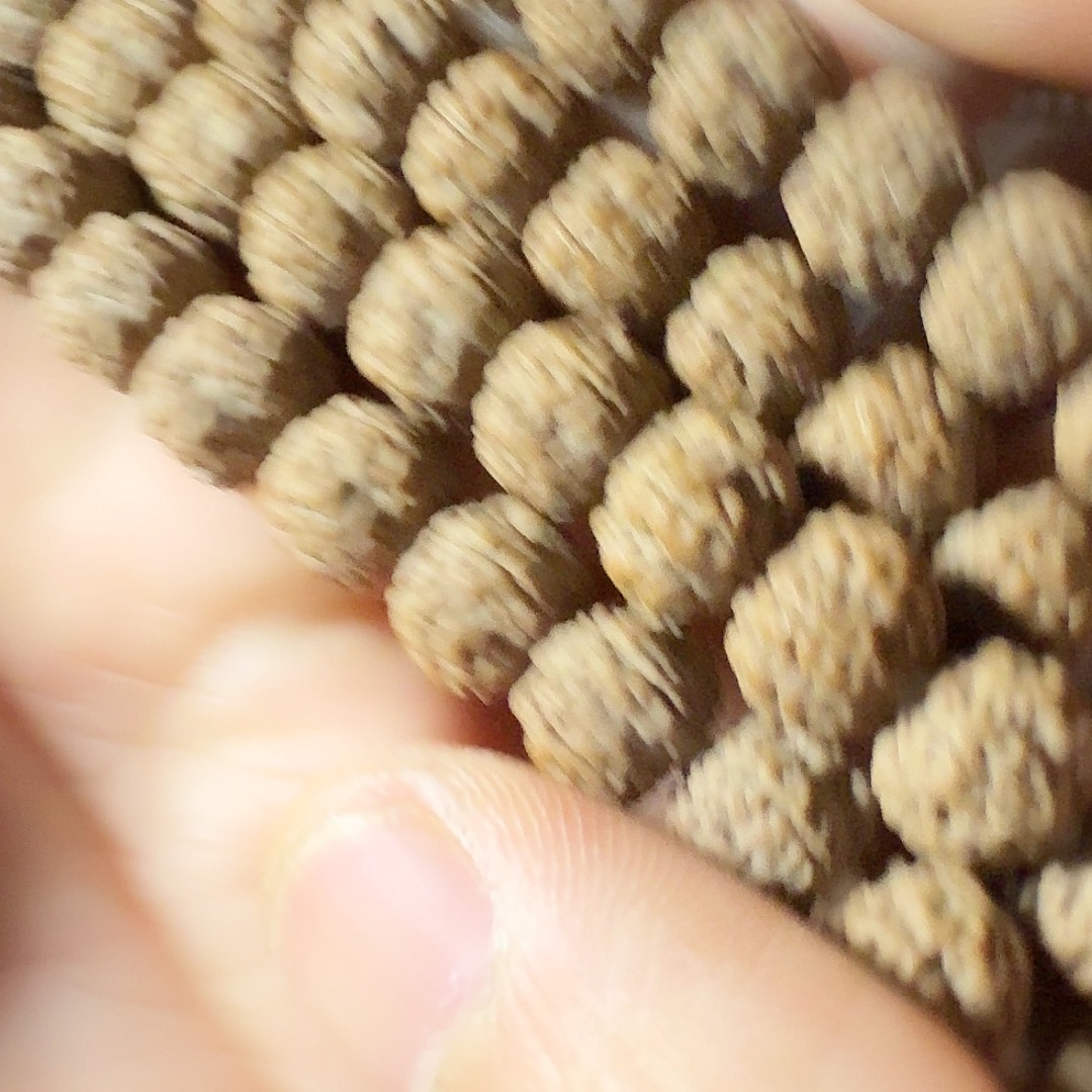 金刚菩提吊坠老树梅花