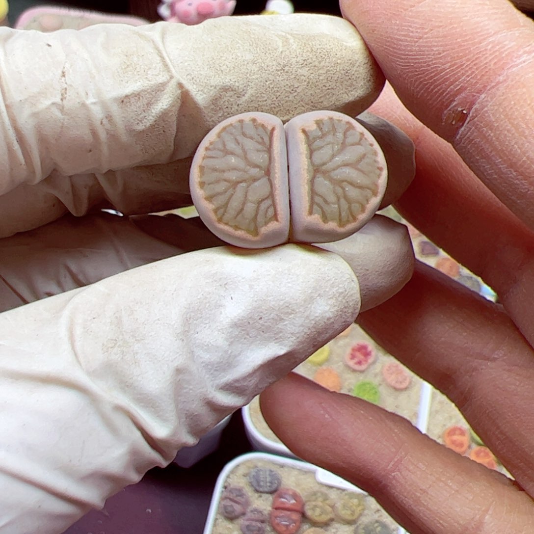 115 优秀的肉肉30