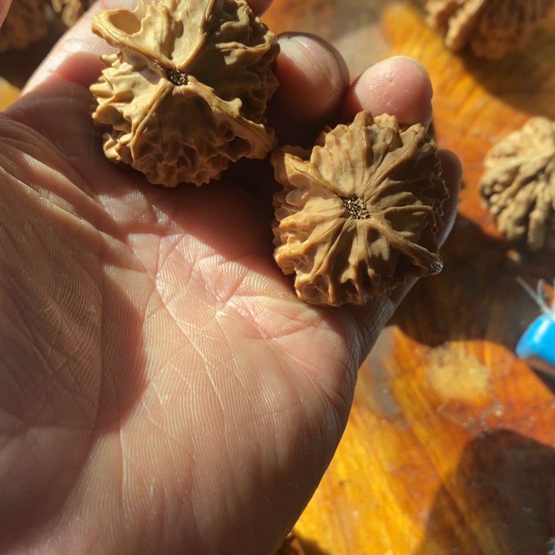 秦岭南侧和东北北部部分地