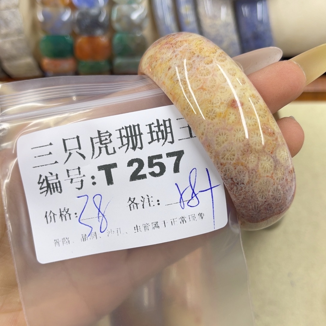 万***帝硅化珊瑚（珊瑚玉）h未镶嵌