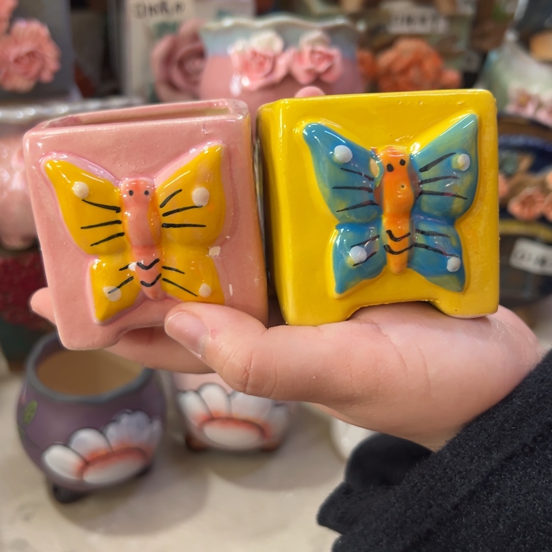 满20飞花盆爱退款拉黑