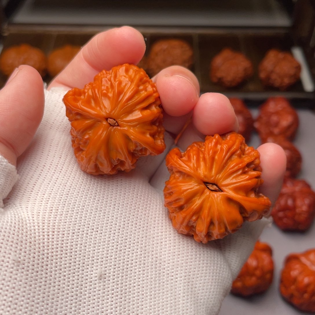 文玩核桃把件磨盘37