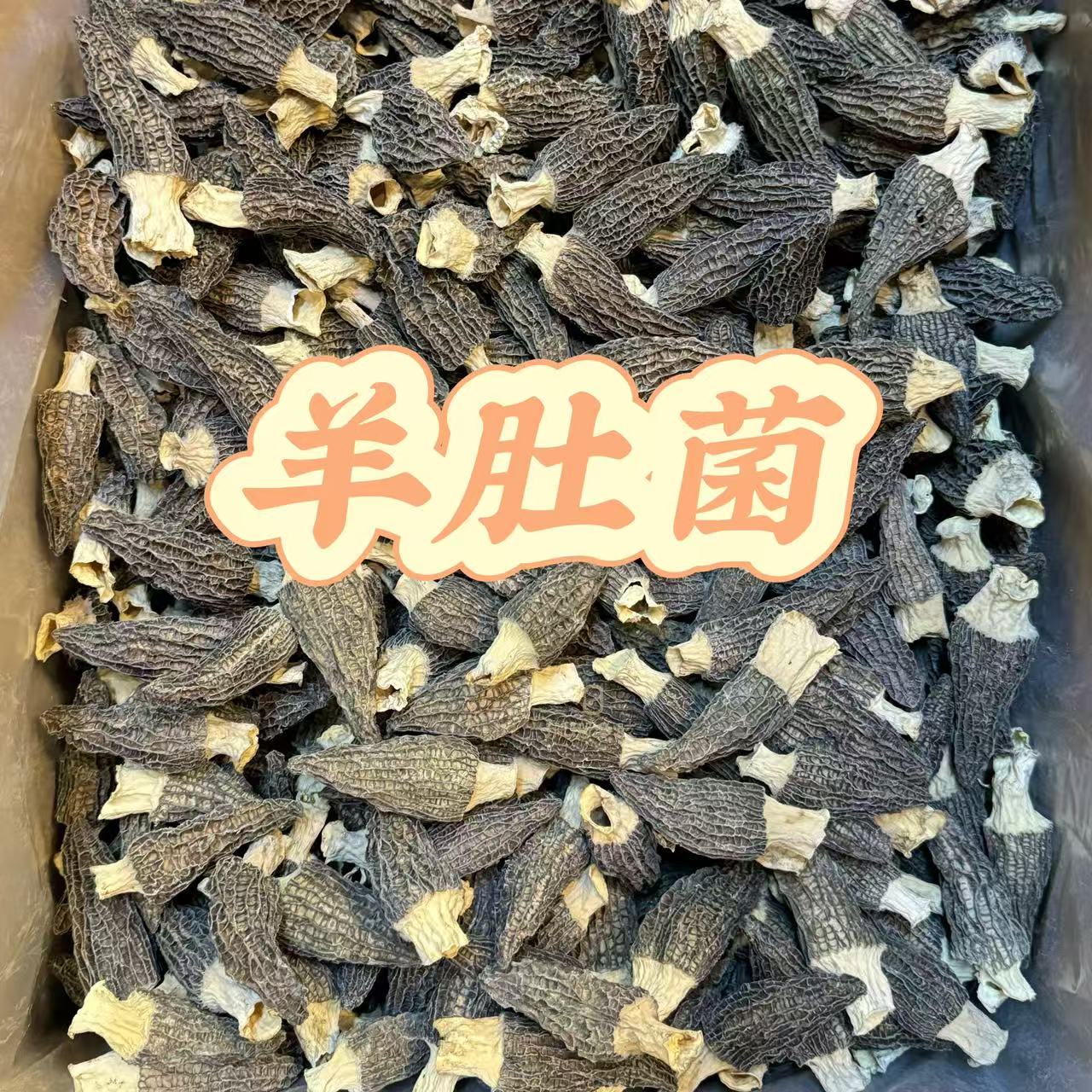 珊珊鱼胶033-羊肚菌 煲汤炖胶干货干鲜辅料 广东汕头实体老店