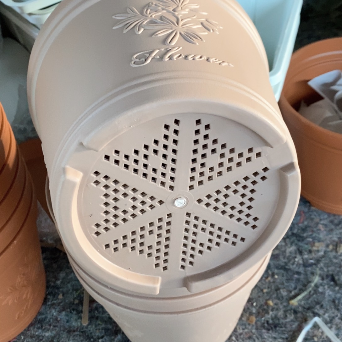 5个22.6口浅色浮雕无托伊特（22.6×19.5）