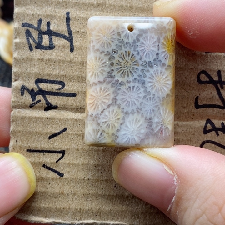 硅化珊瑚（珊瑚玉）颈饰未镶嵌