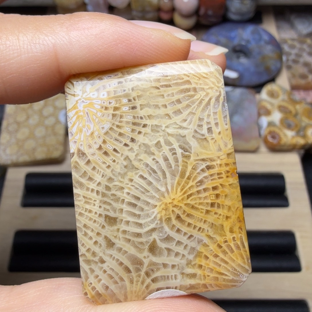 硅化玉未镶嵌闪闪 龙凤纹