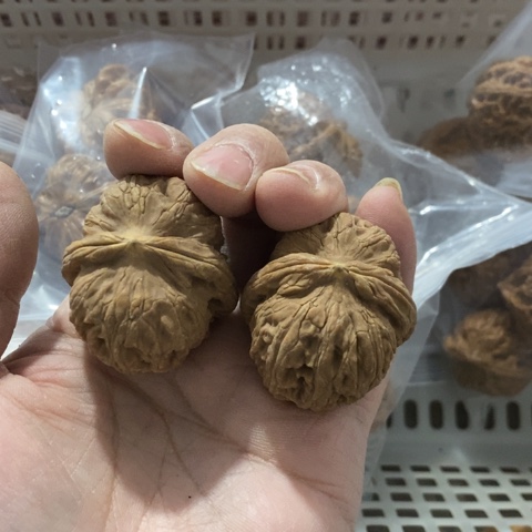 脸***基文玩核桃把件哈哈哈