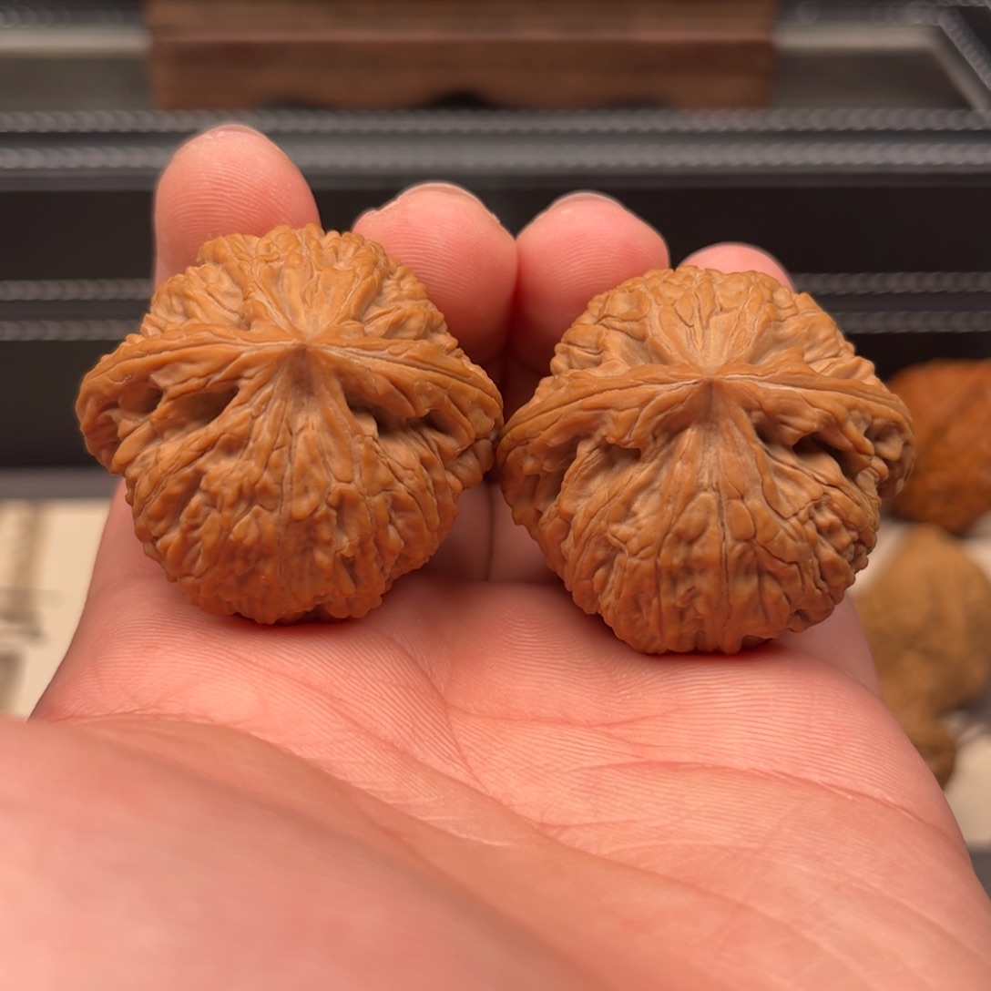 文玩核桃吊坠40红皮蛟龙