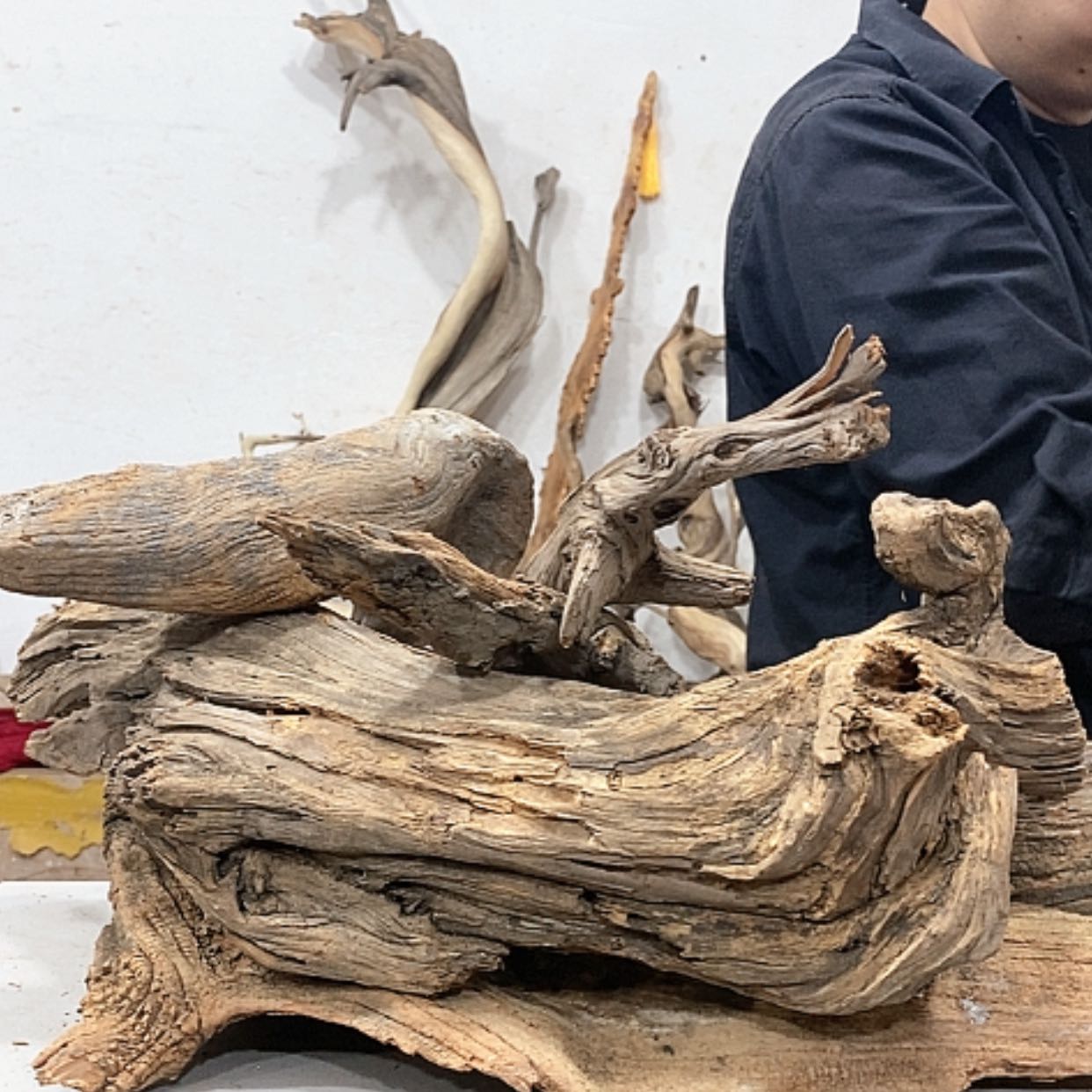 【闪购商品】柏木木***者我们的目标是成为一个优秀