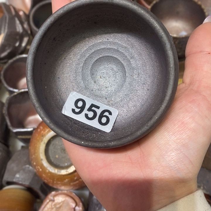 杯柴烧肉等特色菜式和